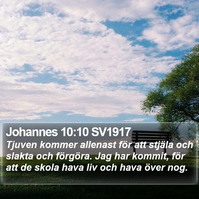 Johannes 10:10 SV1917 Bible Verse Image