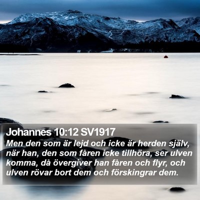 Johannes 10:12 SV1917 Bible Verse Image