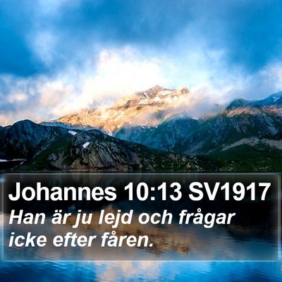 Johannes 10:13 SV1917 Bible Verse Image