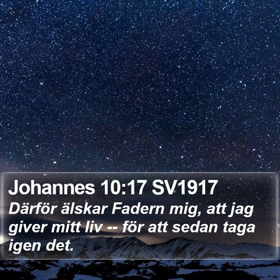 Johannes 10:17 SV1917 Bible Verse Image