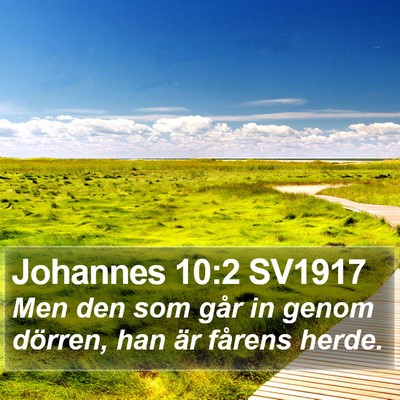 Johannes 10:2 SV1917 Bible Verse Image
