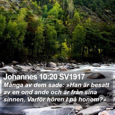 Johannes 10:20 SV1917 Bible Verse Image