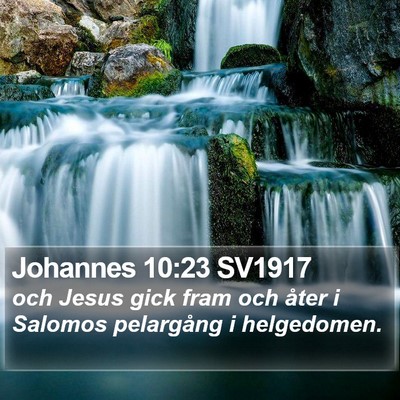 Johannes 10:23 SV1917 Bible Verse Image