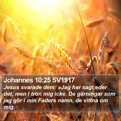 Johannes 10:25 SV1917 Bible Verse Image
