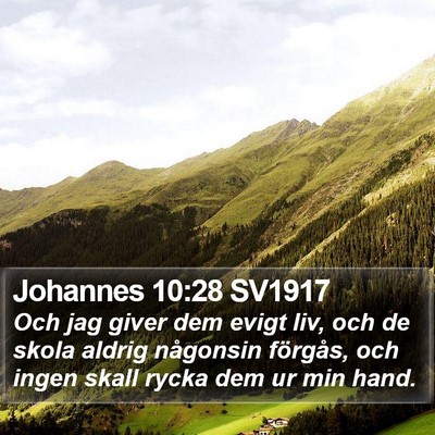 Johannes 10:28 SV1917 Bible Verse Image