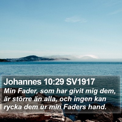 Johannes 10:29 SV1917 Bible Verse Image