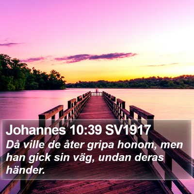 Johannes 10:39 SV1917 Bible Verse Image