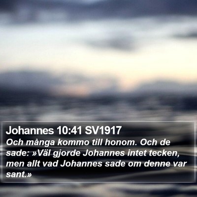 Johannes 10:41 SV1917 Bible Verse Image
