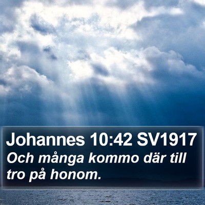 Johannes 10:42 SV1917 Bible Verse Image