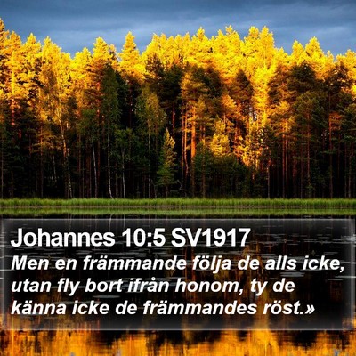 Johannes 10:5 SV1917 Bible Verse Image