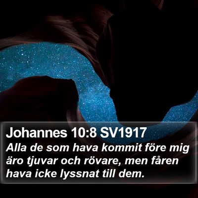 Johannes 10:8 SV1917 Bible Verse Image