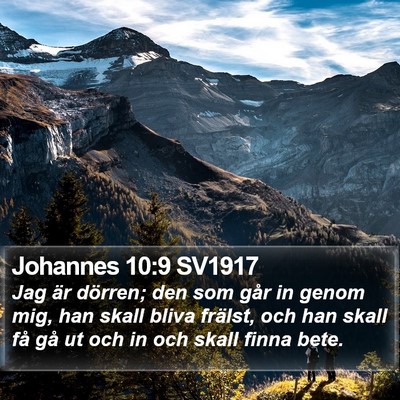 Johannes 10:9 SV1917 Bible Verse Image