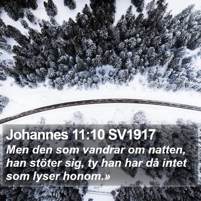 Johannes 11:10 SV1917 Bible Verse Image