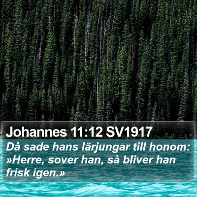 Johannes 11:12 SV1917 Bible Verse Image