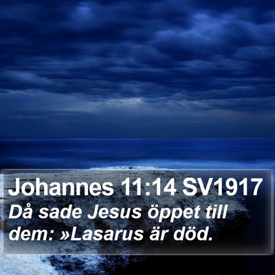 Johannes 11:14 SV1917 Bible Verse Image