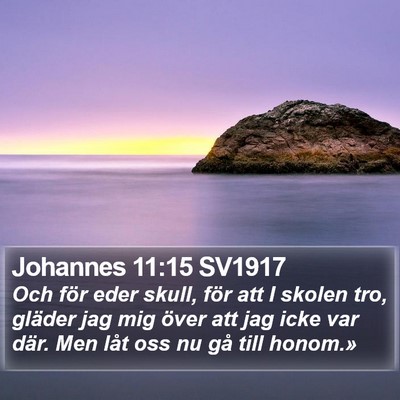 Johannes 11:15 SV1917 Bible Verse Image