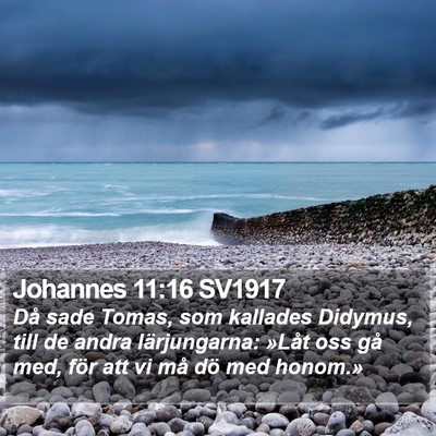 Johannes 11:16 SV1917 Bible Verse Image