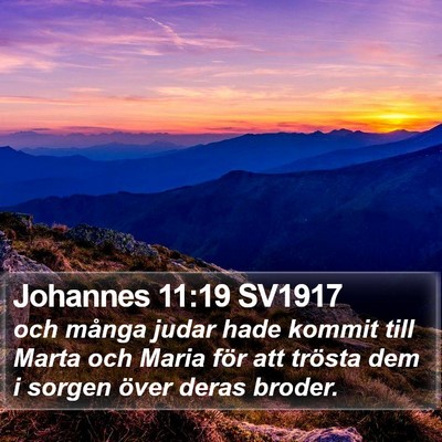 Johannes 11:19 SV1917 Bible Verse Image