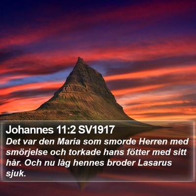 Johannes 11:2 SV1917 Bible Verse Image