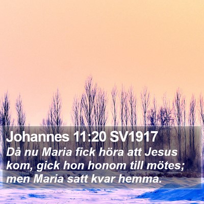 Johannes 11:20 SV1917 Bible Verse Image