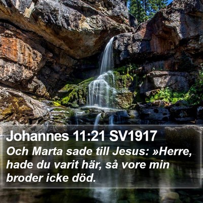 Johannes 11:21 SV1917 Bible Verse Image