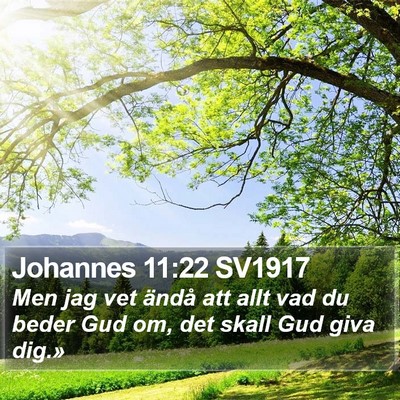 Johannes 11:22 SV1917 Bible Verse Image