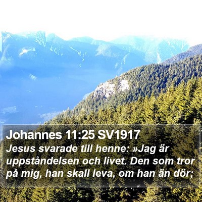Johannes 11:25 SV1917 Bible Verse Image