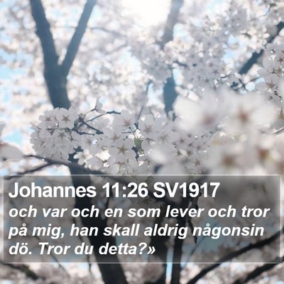 Johannes 11:26 SV1917 Bible Verse Image
