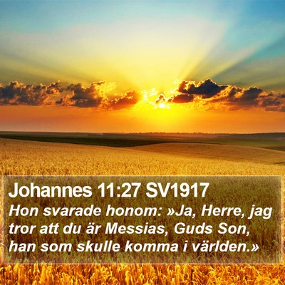 Johannes 11:27 SV1917 Bible Verse Image