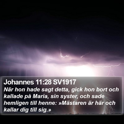 Johannes 11:28 SV1917 Bible Verse Image