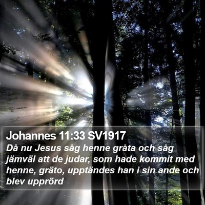 Johannes 11:33 SV1917 Bible Verse Image