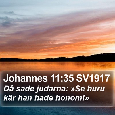 Johannes 11:35 SV1917 Bible Verse Image