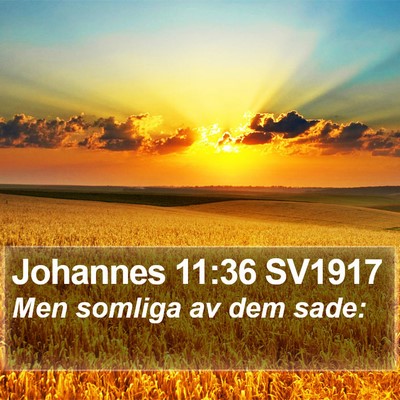 Johannes 11:36 SV1917 Bible Verse Image