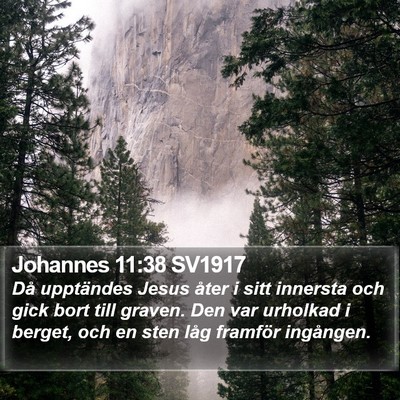 Johannes 11:38 SV1917 Bible Verse Image