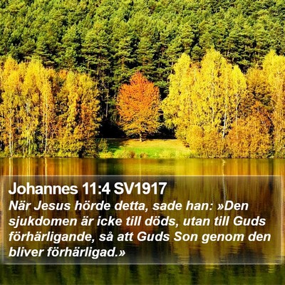 Johannes 11:4 SV1917 Bible Verse Image