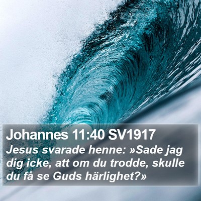 Johannes 11:40 SV1917 Bible Verse Image