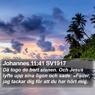Johannes 11:41 SV1917 Bible Verse Image