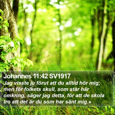Johannes 11:42 SV1917 Bible Verse Image