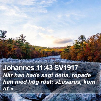 Johannes 11:43 SV1917 Bible Verse Image