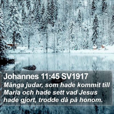 Johannes 11:45 SV1917 Bible Verse Image