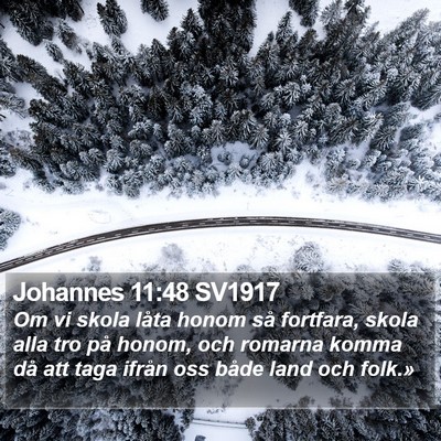 Johannes 11:48 SV1917 Bible Verse Image