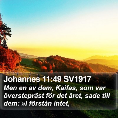 Johannes 11:49 SV1917 Bible Verse Image