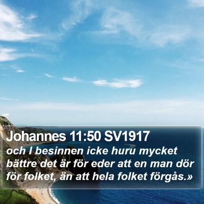 Johannes 11:50 SV1917 Bible Verse Image