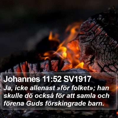 Johannes 11:52 SV1917 Bible Verse Image
