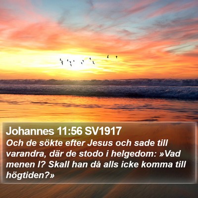 Johannes 11:56 SV1917 Bible Verse Image