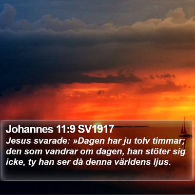 Johannes 11:9 SV1917 Bible Verse Image
