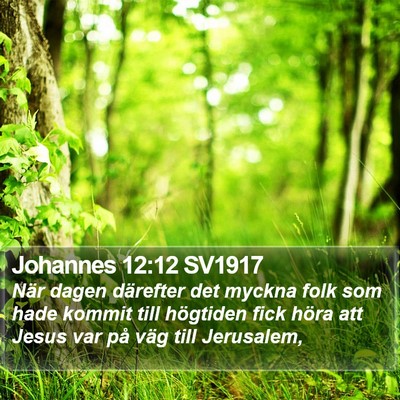 Johannes 12:12 SV1917 Bible Verse Image
