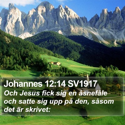 Johannes 12:14 SV1917 Bible Verse Image