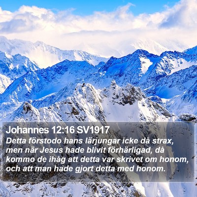 Johannes 12:16 SV1917 Bible Verse Image