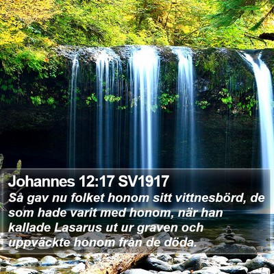 Johannes 12:17 SV1917 Bible Verse Image
